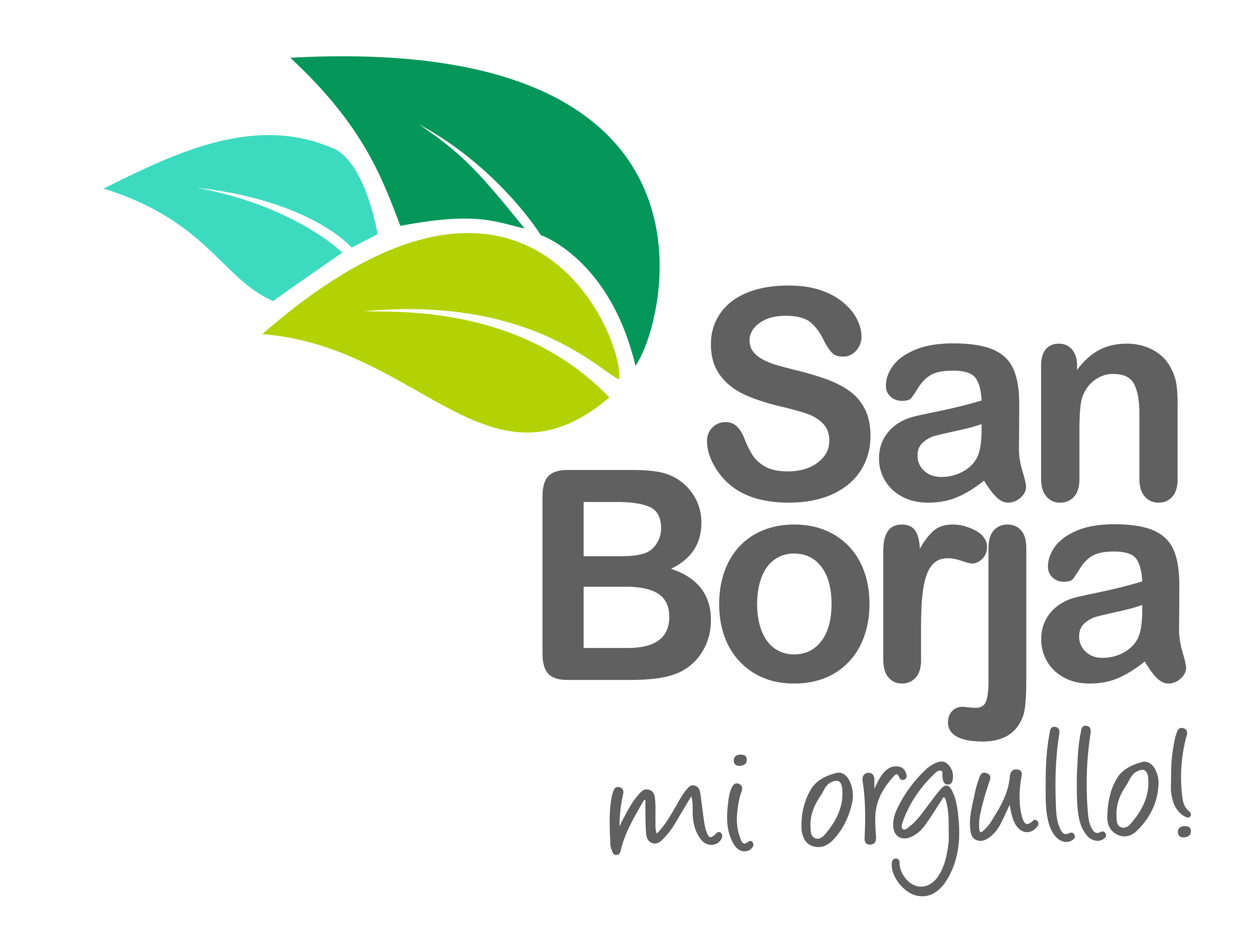 Logotipo de Municipalidad de San Borja